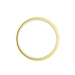 Alliance Viane Ruban Plat Or Bicolore