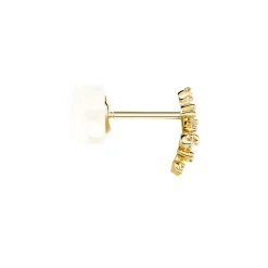 Boucles D'oreilles Puces Joy Or Jaune Diamant