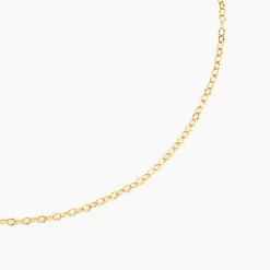 Chaine Or Jaune Pilea