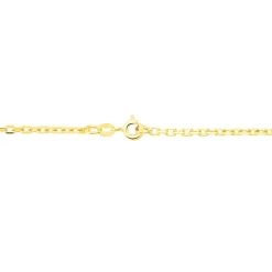 Chaîne Igoa Maille Forçat Diamantee Or Jaune