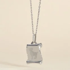 Pendentif Zodiaque Parchemin Argent Blanc