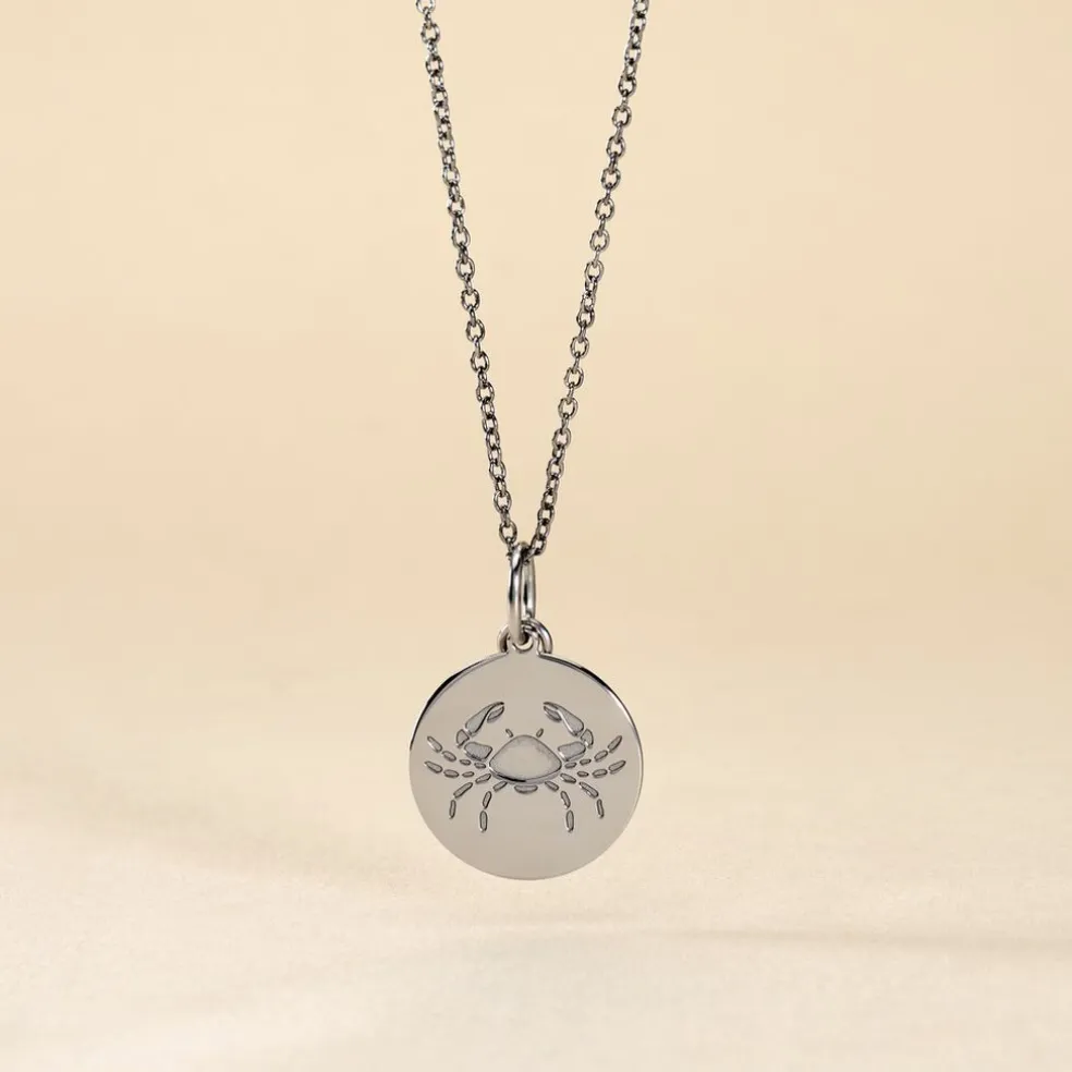 Pendentif Zodiaque Rond Argent Blanc