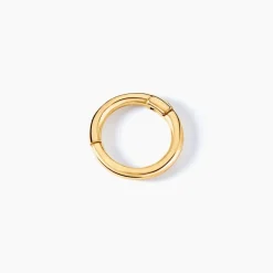 Piercing D'oreille Unitaire Aloes Or Jaune